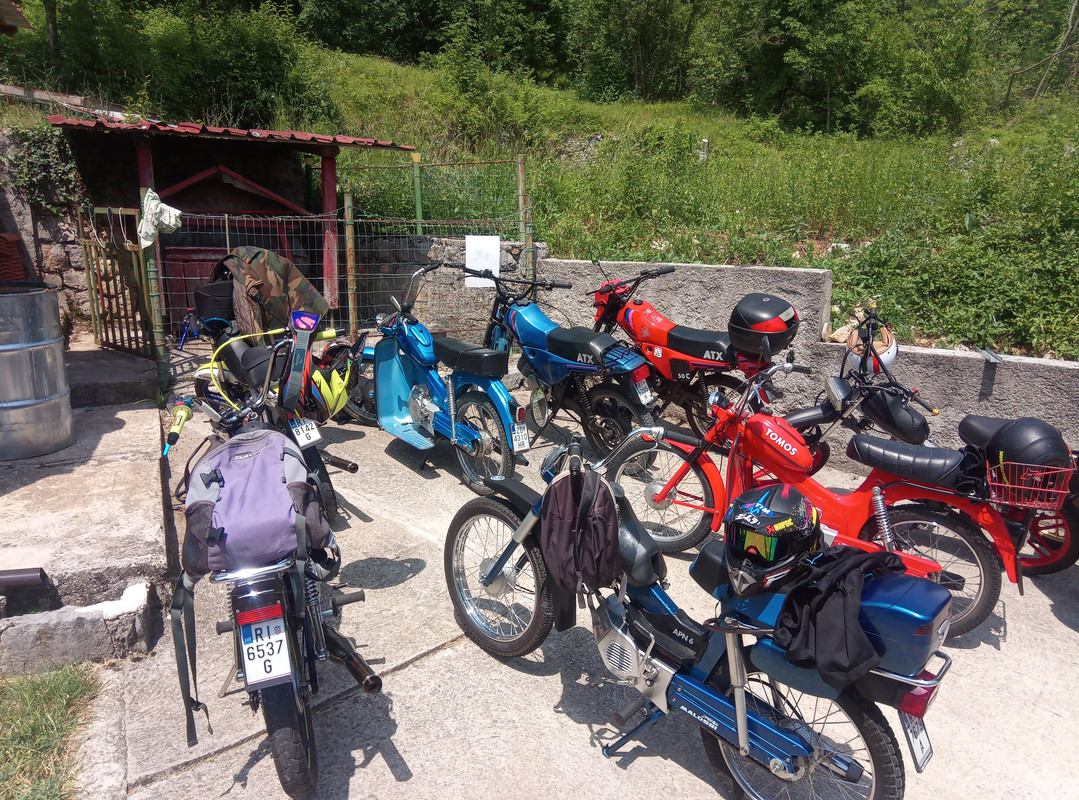 IMG_20210619_140439_8