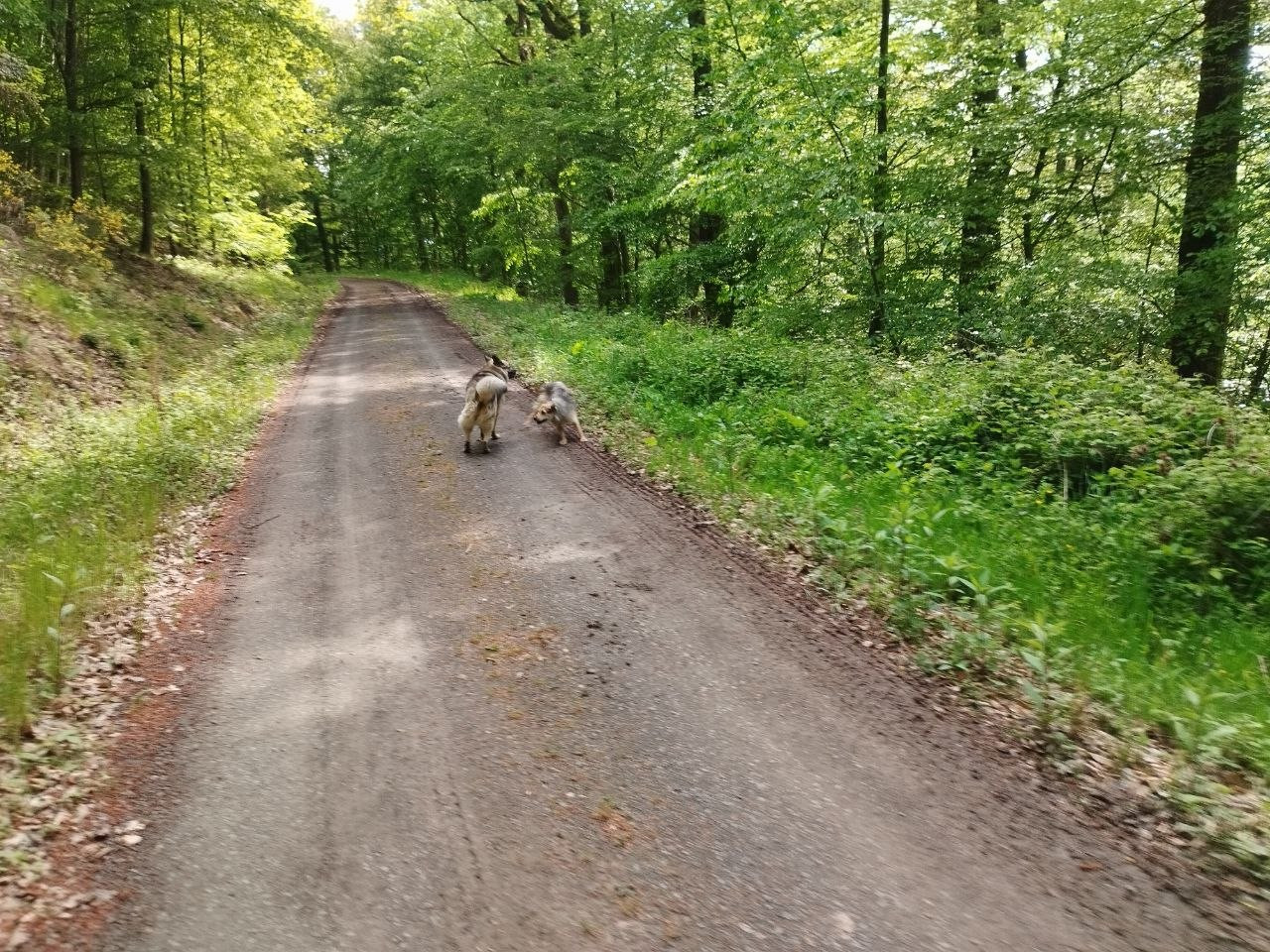 photo 2026 05 15 18 20 12