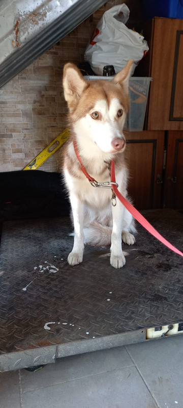 WhatsApp Image 2022-08-05 at 15.30.51 (1)