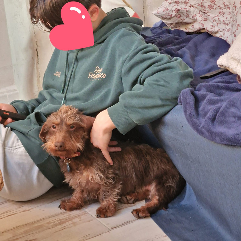 [Image: IMG-20250301-WA0008.jpg]