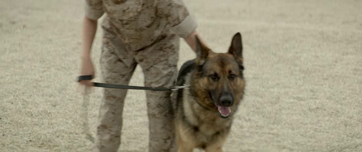 vlcsnap-2018-07-02-09h31m52s887