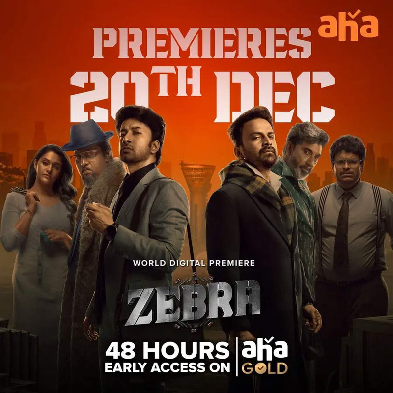 Zebra (2024) Dual Audio [Hindi ORG-Telugu] WEB-DL H264 AAC 1080p 720p 480p ESub