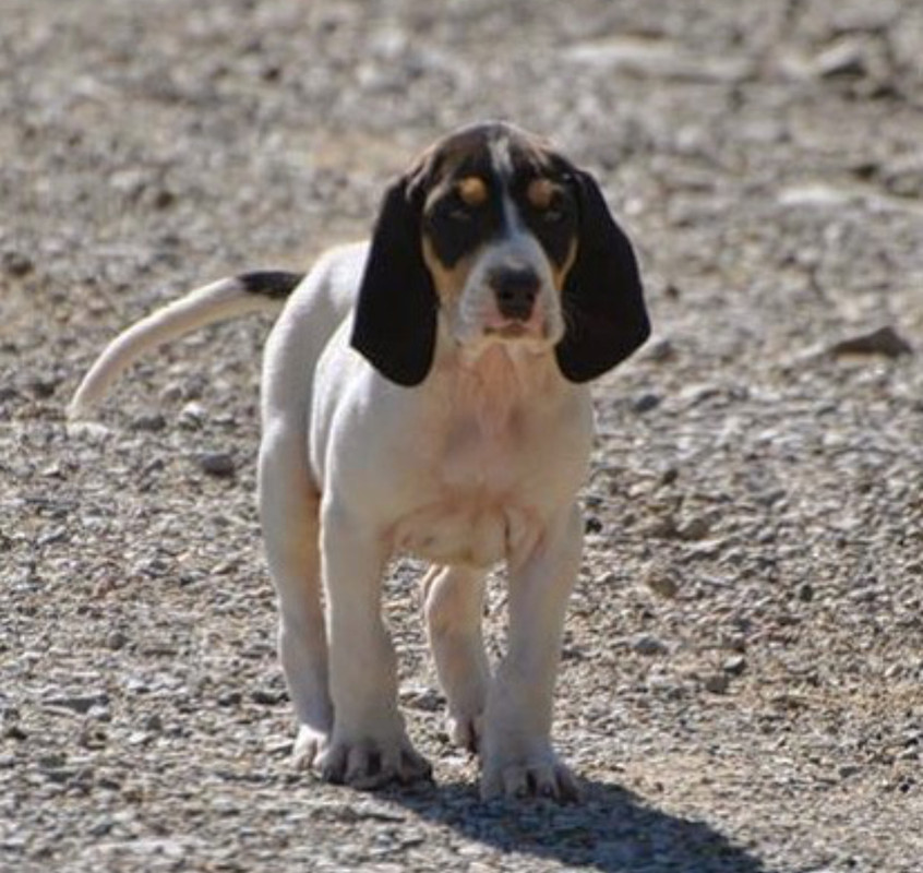 B2BE0282-2117-4EAD-ADB0-489FA1C9E900