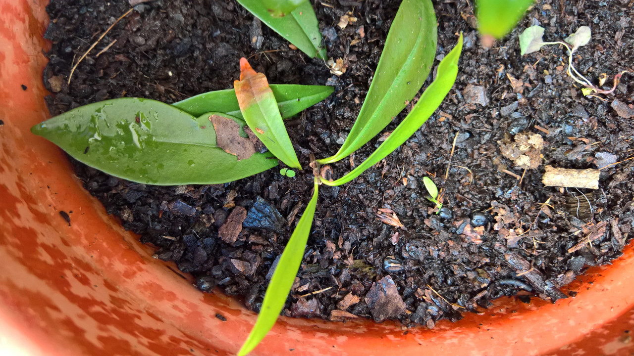 WP_20160722_19_18_57_Pro