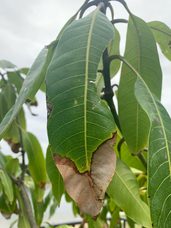 29B2BC39-1897-4515-BB3F-8DF95E65FDDE