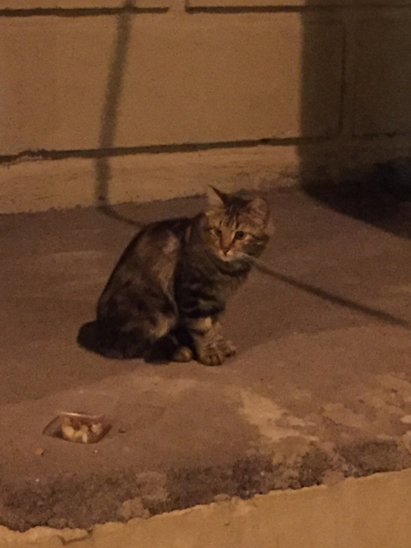 image-22-08-16-10-25