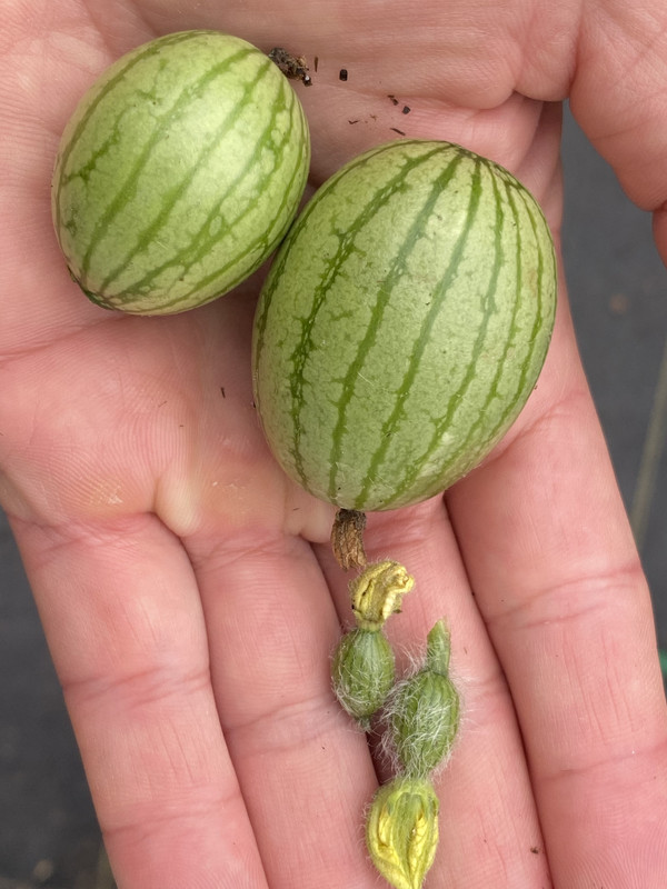 6DF24906-B54D-4AD0-AB99-887A3B7E711E