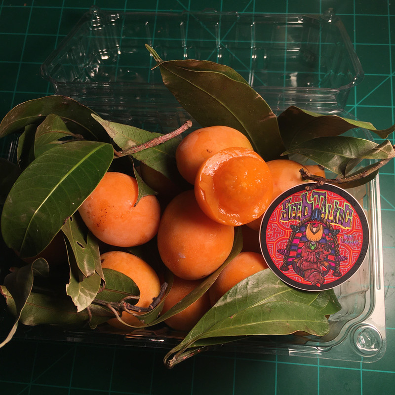 73C41EC7-D73D-4903-899E-54C296918DDC