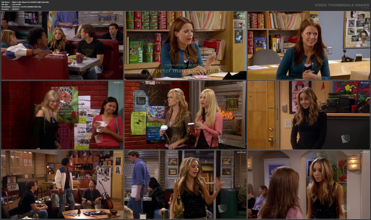 What I Like About You S03E05 Split Ends.mkv