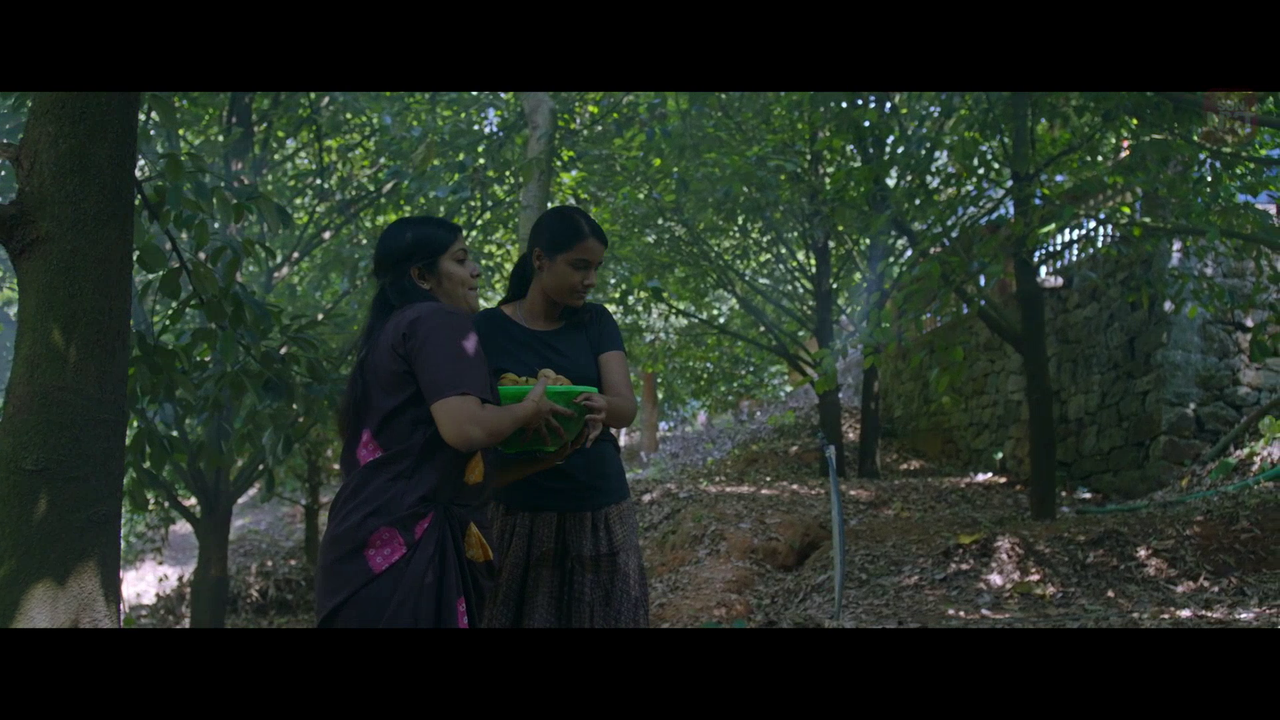 vlcsnap 2026 02 11 15h44m05s218