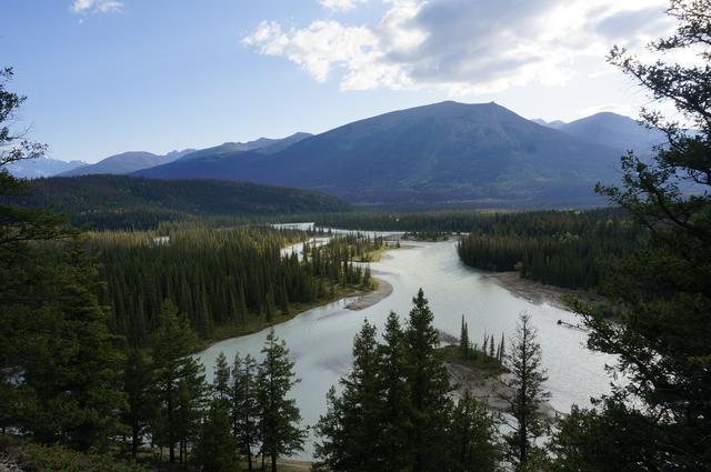 Día 4: Llegamos a Jasper - Vancouver y Rocosas Low Cost: Dos semanas por lo mejor de Canadá (8)