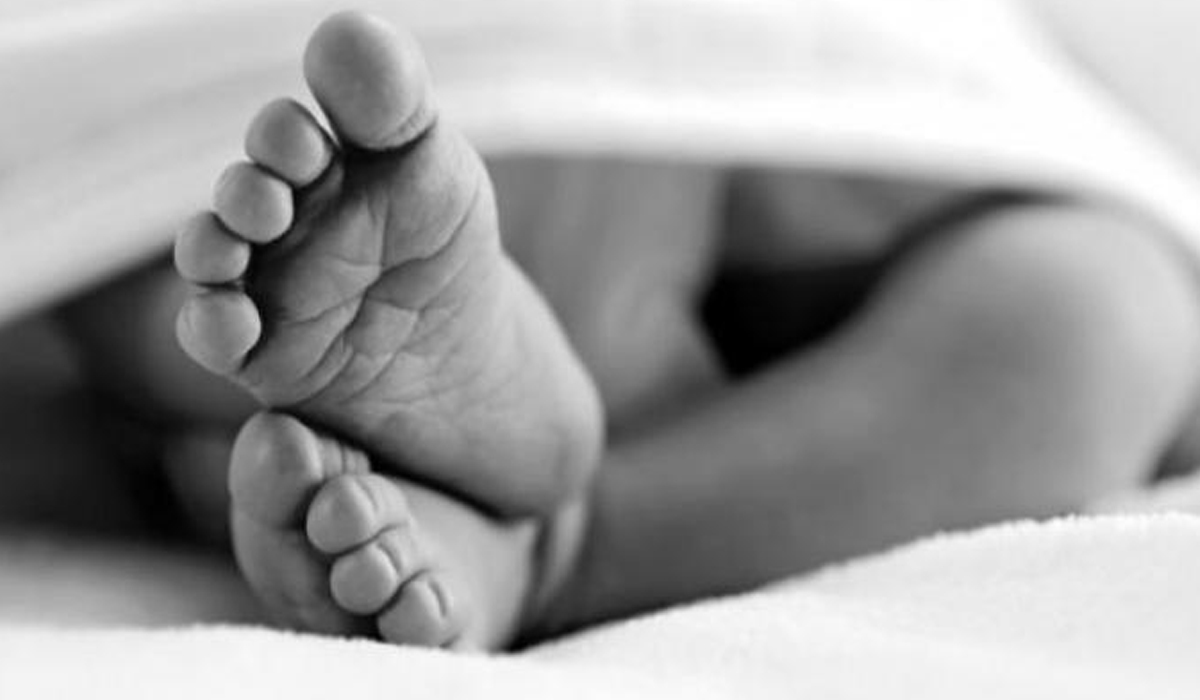 Respons Pihak Berwajib