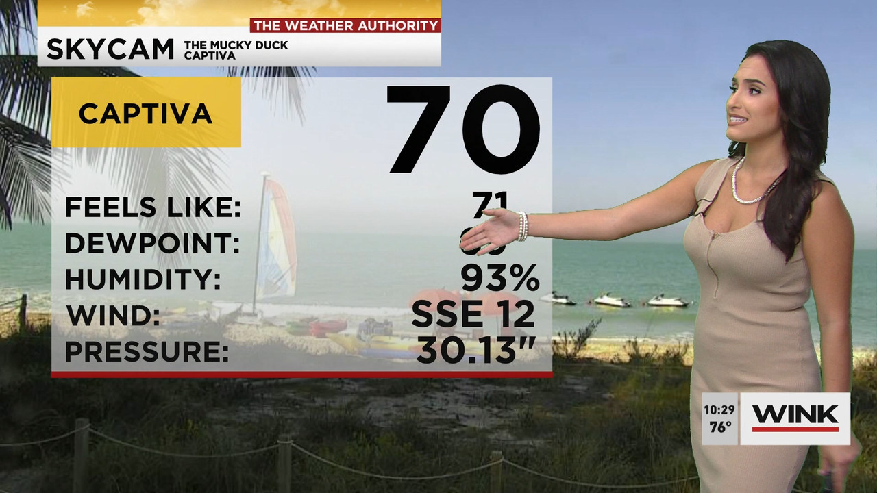02.09 - 15.00.00 - WINK News at 10 00 a.m..ts_snapshot_00.31.02.069