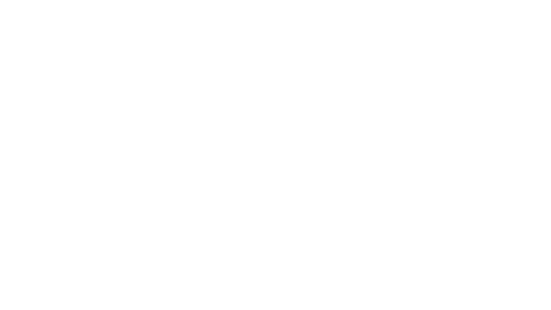 WILD Studios