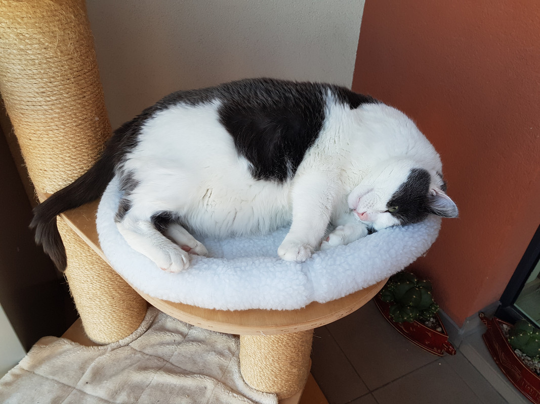 20190414-192113.jpg