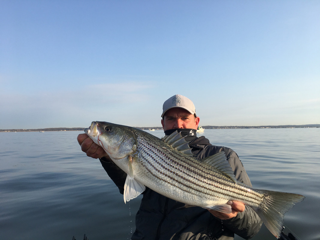 24C09E4B-2EAD-40BE-A019-EFC960EC03E0