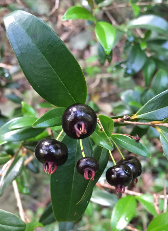 83C06FFC-926E-4351-A7E9-4430DFA6AF3C