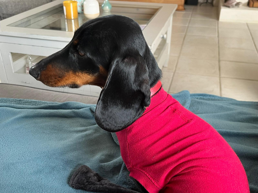 [Image: IMG-20250314-WA0003.jpg]