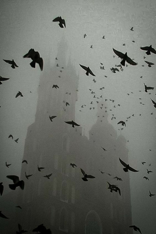 Brume