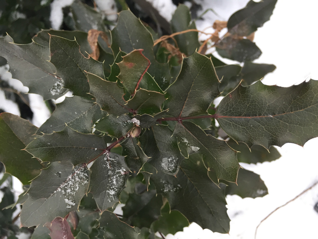 DE1E7F3F-FDD3-4837-9E6B-55D55957ECE4