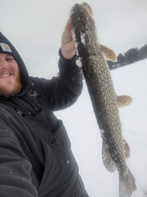 PXL_20210303_191735274