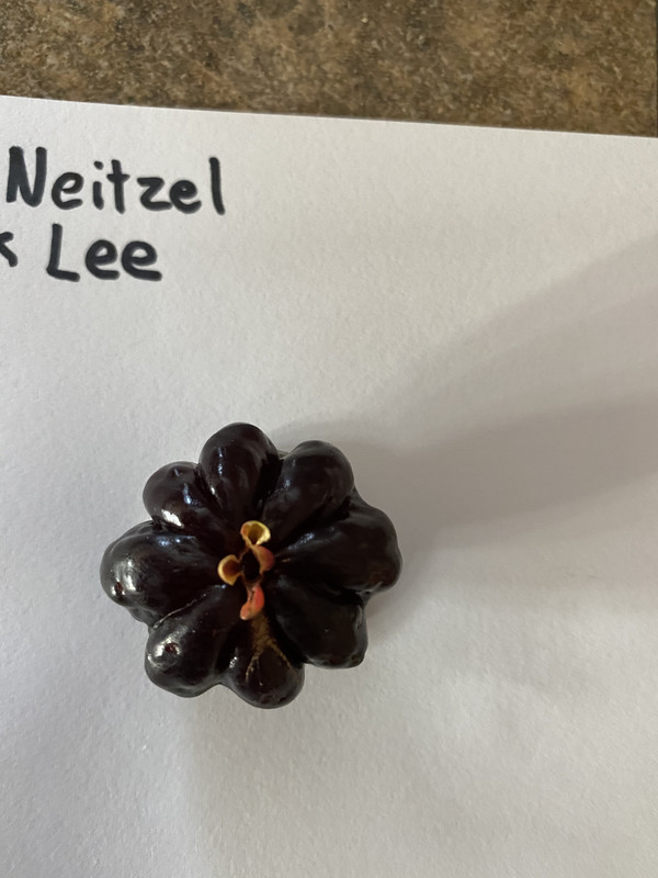 A9A2000C-47E8-419F-936A-1B7D38233D21