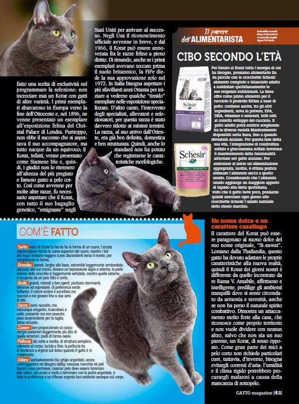 Ga Ma Dic 2017 - Gen 2018 (12)