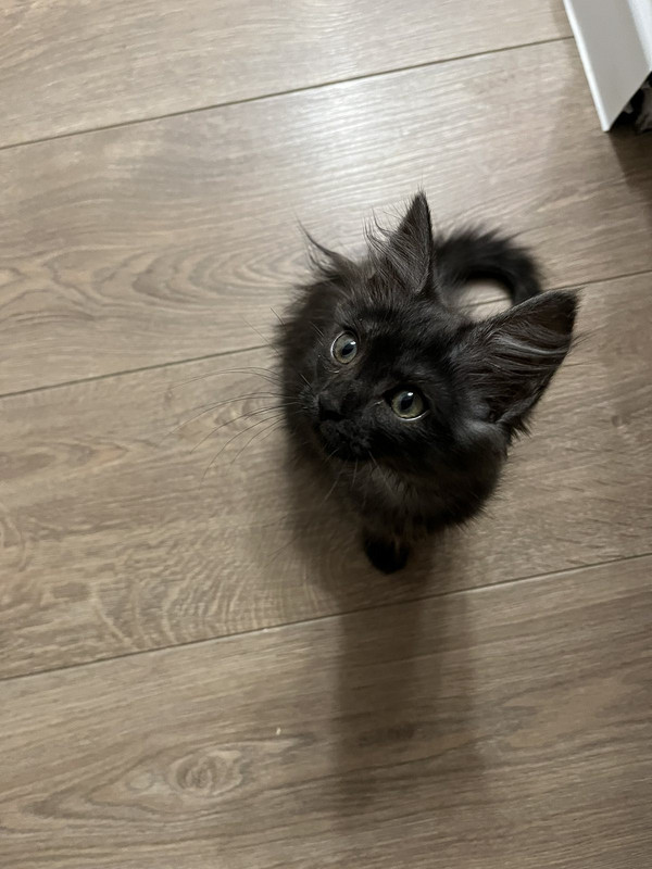 IMG-9f3f6c5502836d955646746f44c191f1-V