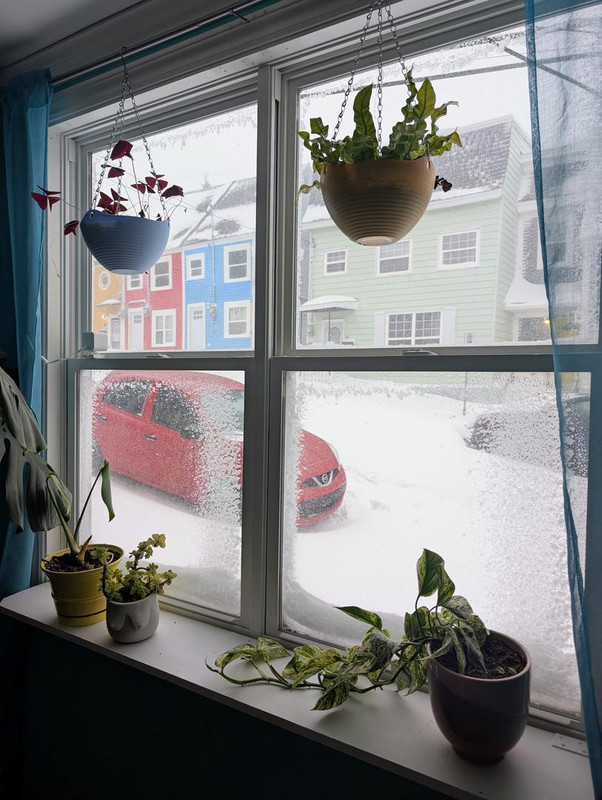 PXL 20260324 102412365 MP 2