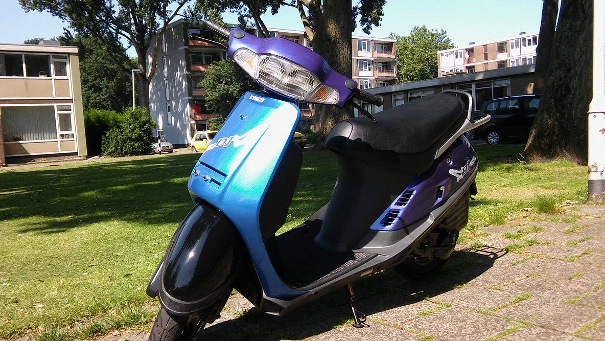 13383702_251630265212259_1777836787_o