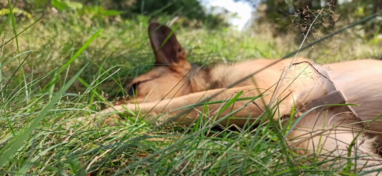 3845FB04-7F00-4A3B-BA23-9D18D01A9AAE