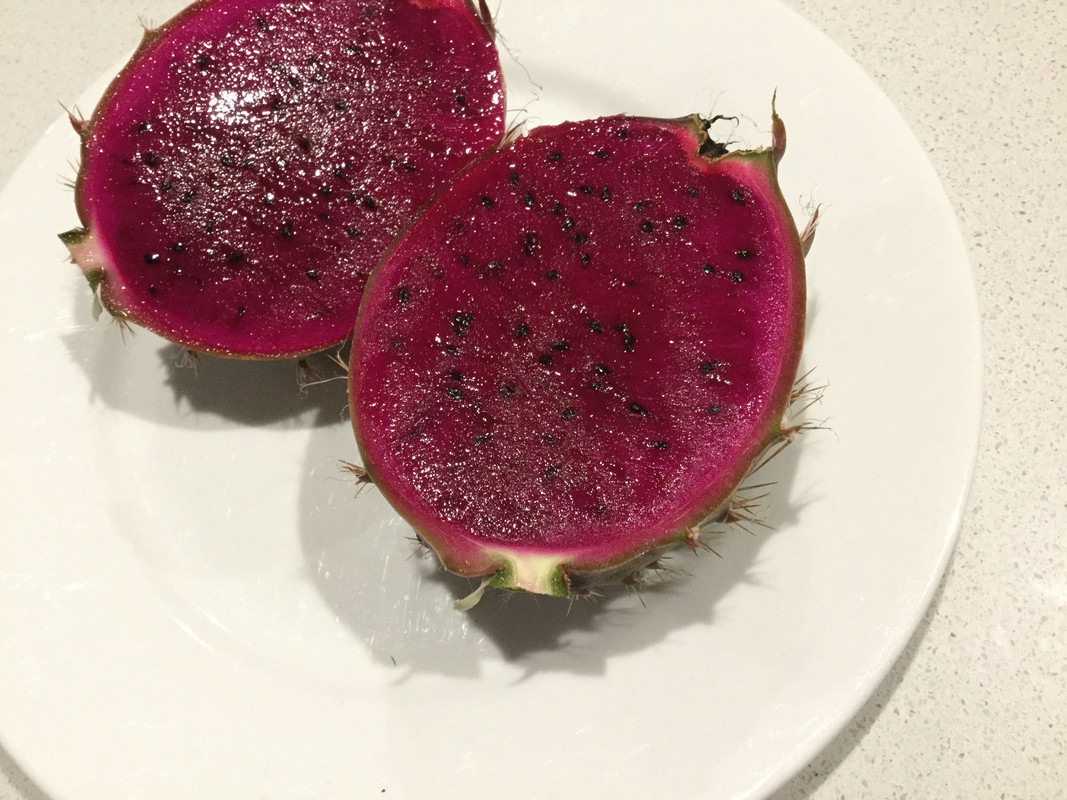 47025AF6-B85C-49F0-ACD2-2F66140F3CC0