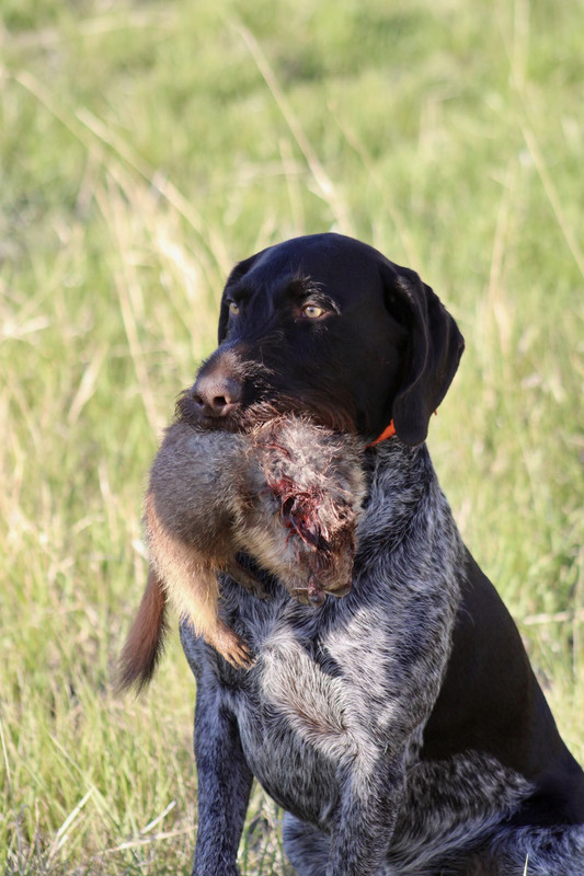 6382643F-8F1F-4A5D-BB34-54A3E2DC4419