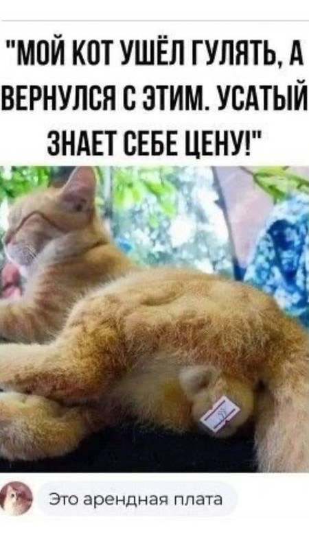 [Изображение: 3e001686c016e4a01f74b51465c7bad0.jpg]