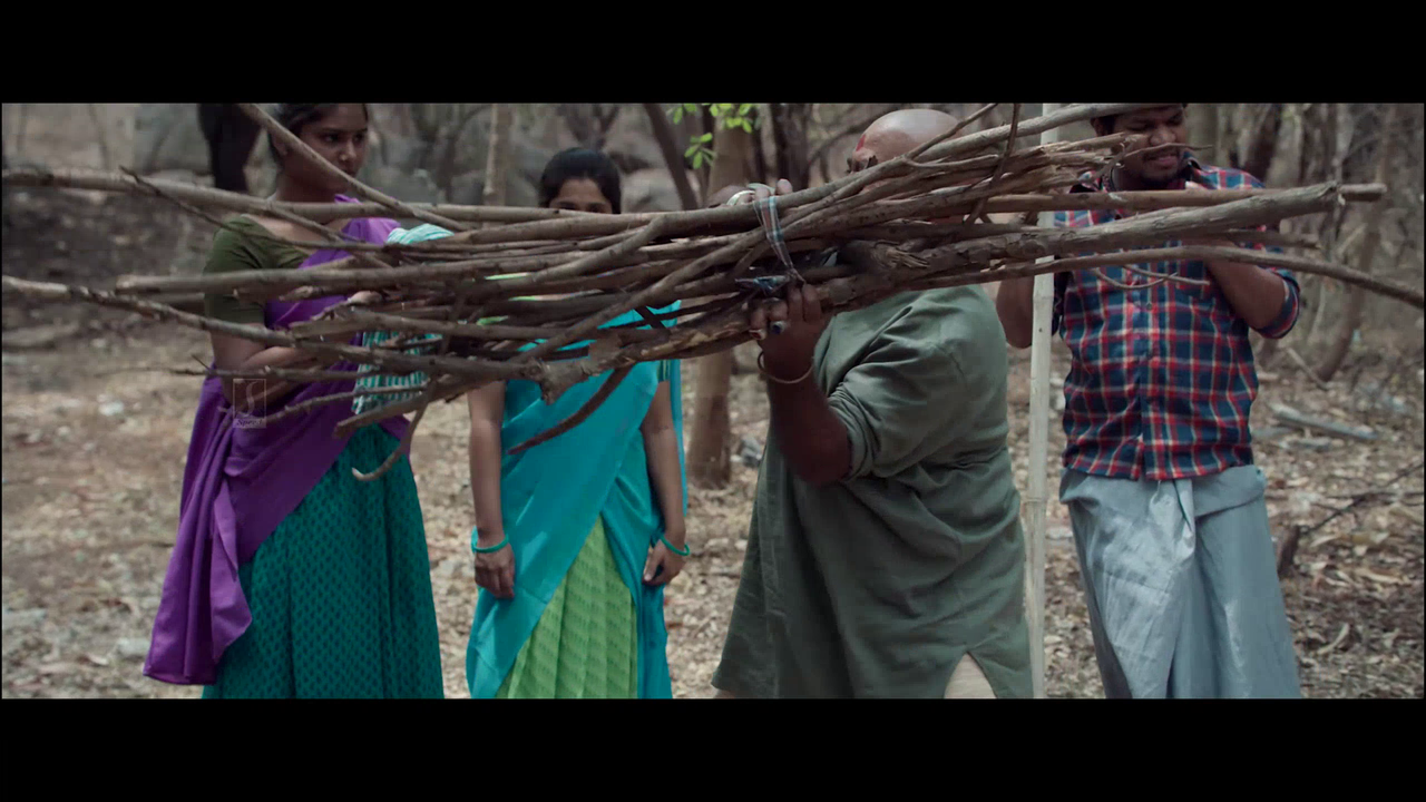 vlcsnap 2025 11 02 08h37m37s851