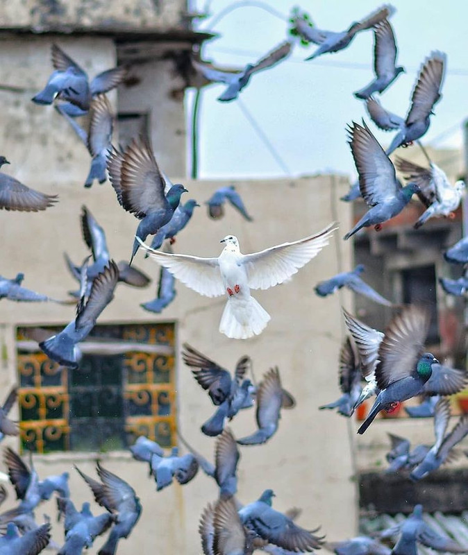 B37AA750-F982-47EA-BDB2-27C4D8208591