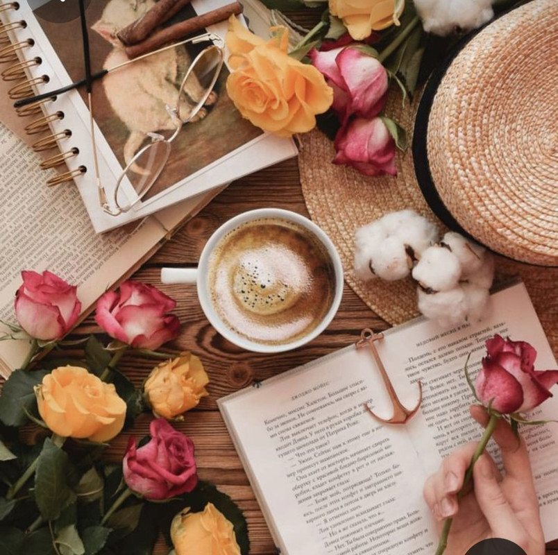 Screenshot_20230330_003644_Pinterest