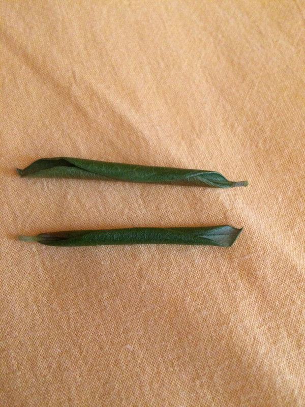 5AB67809-9929-4C45-8073-DA719AFA933A