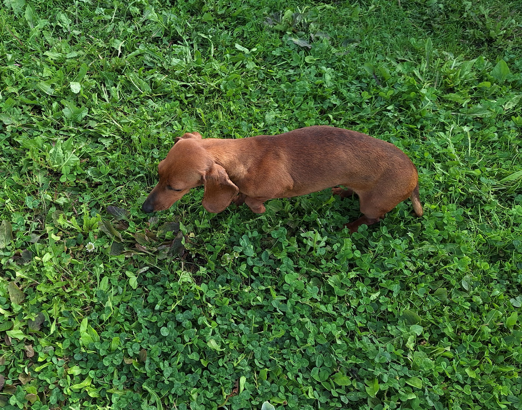 [Image: 20240527-181244.jpg]