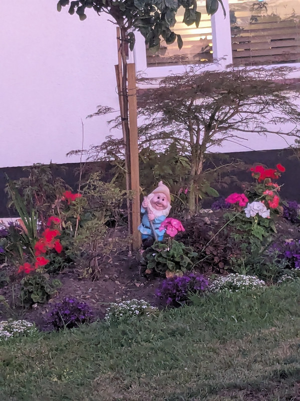 Garden Gnome 1