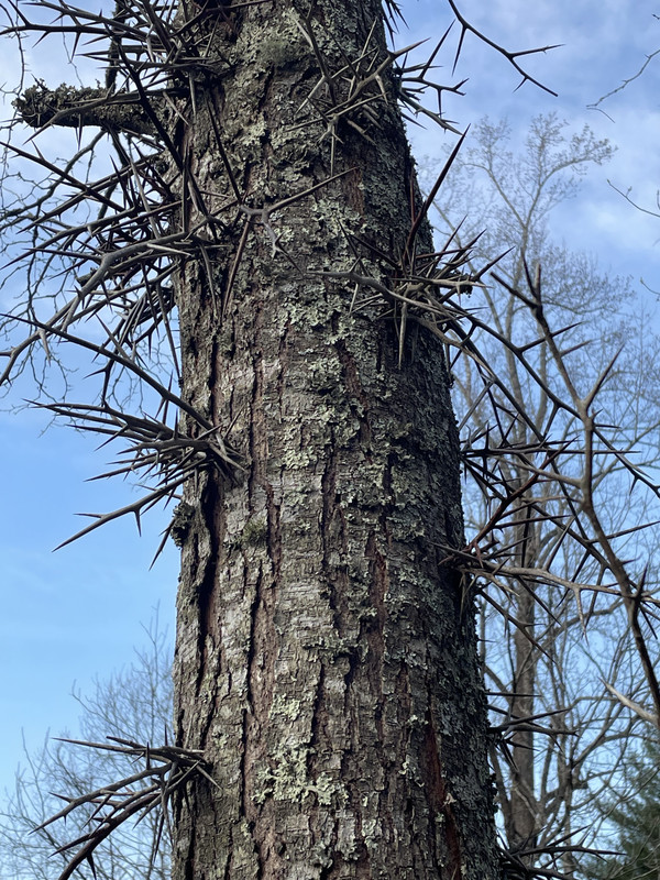 F5D86188-D9B4-45A8-857A-269D0E6516B5