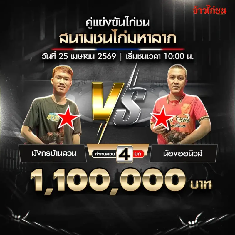มังกรบ้านสวน พบ น้องออนิวส์ โปรแกรมไก่ชน สนามชนไก่มหาลาภ วันที่ 25 เมษายน 2569