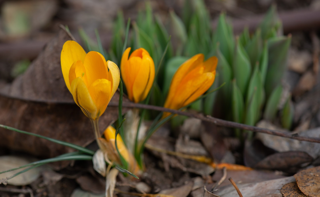 IMG-f94fac9414357a0a6d68ea7310769a82-V