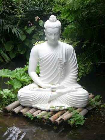 e18396465734509b351d1eb0d0cc1115