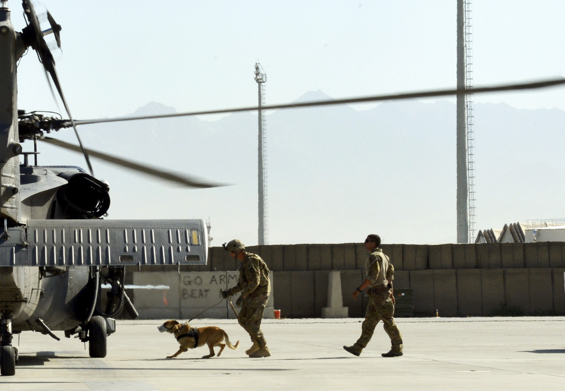 K9 Airman 1st Class Jason Fischman7