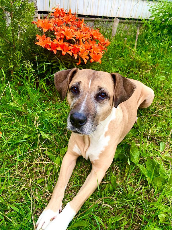 56C1815A-4AA8-4362-B9FC-AB0E93F89413