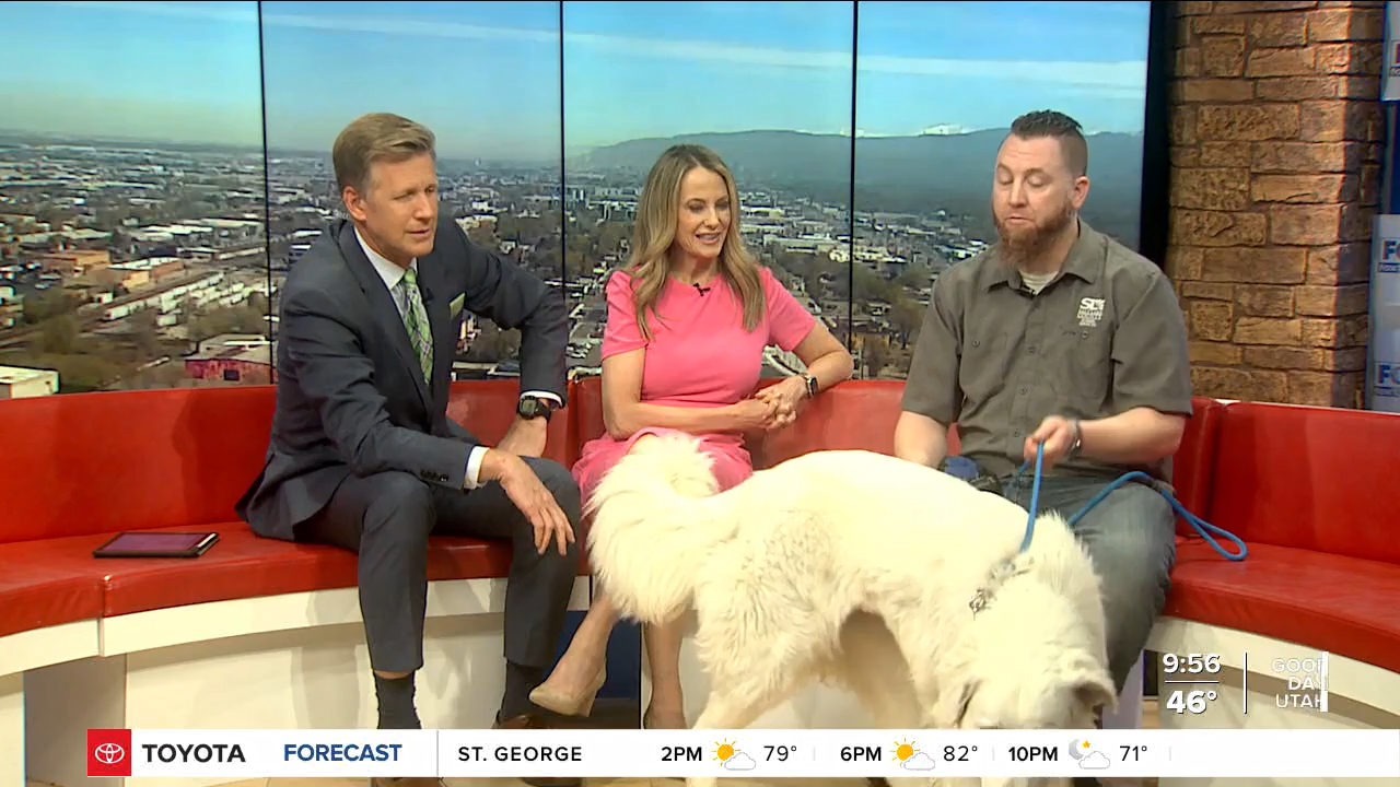 FOX13 News Good Day Utah 9AM_20240419_16001700.ts_snapshot_57.19.778