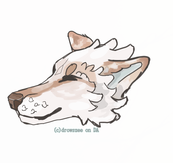 B0374254-5F55-49C3-A4FD-CA2FC4D5391D