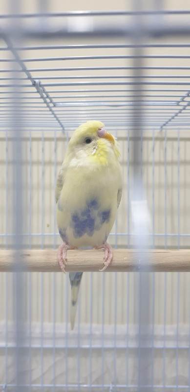 ٢٠٢٠١٠١٨_١٧٠٥١٢