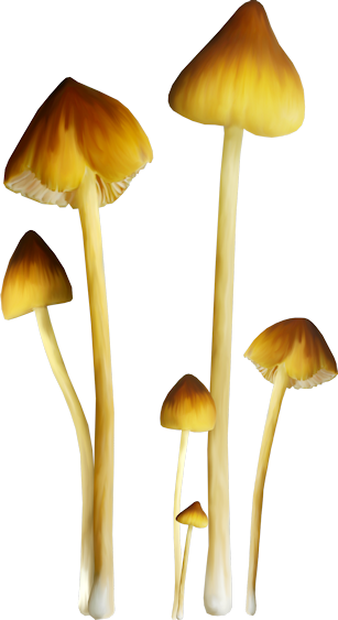 ISmellAutumn-LL-Element39